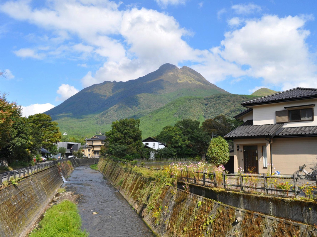 由布岳景点图片