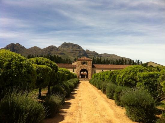 Waterford Estate-斯泰伦博斯必去景点