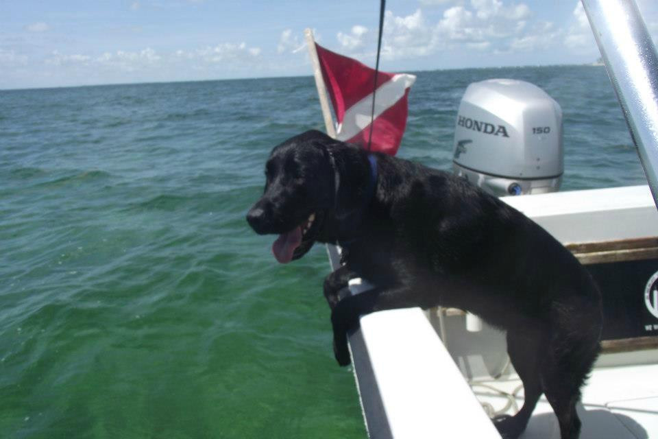 MiLo Watersports-Summerland Key必去景点