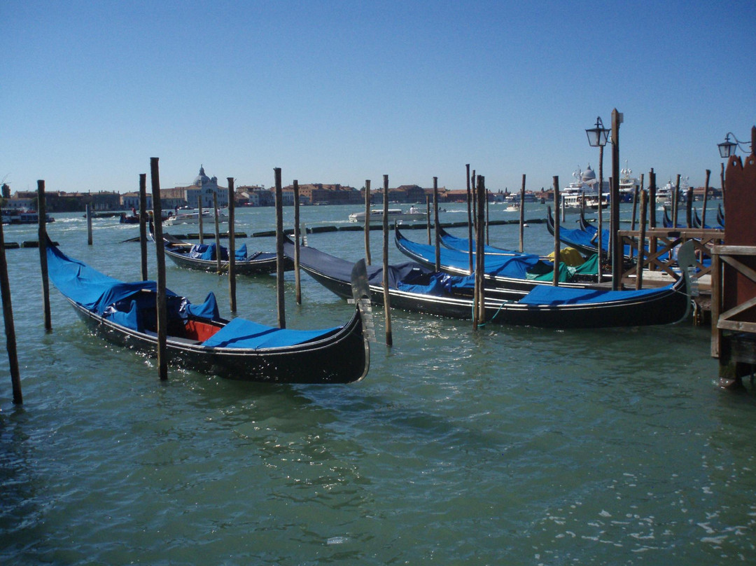 Venezia Lines景点图片