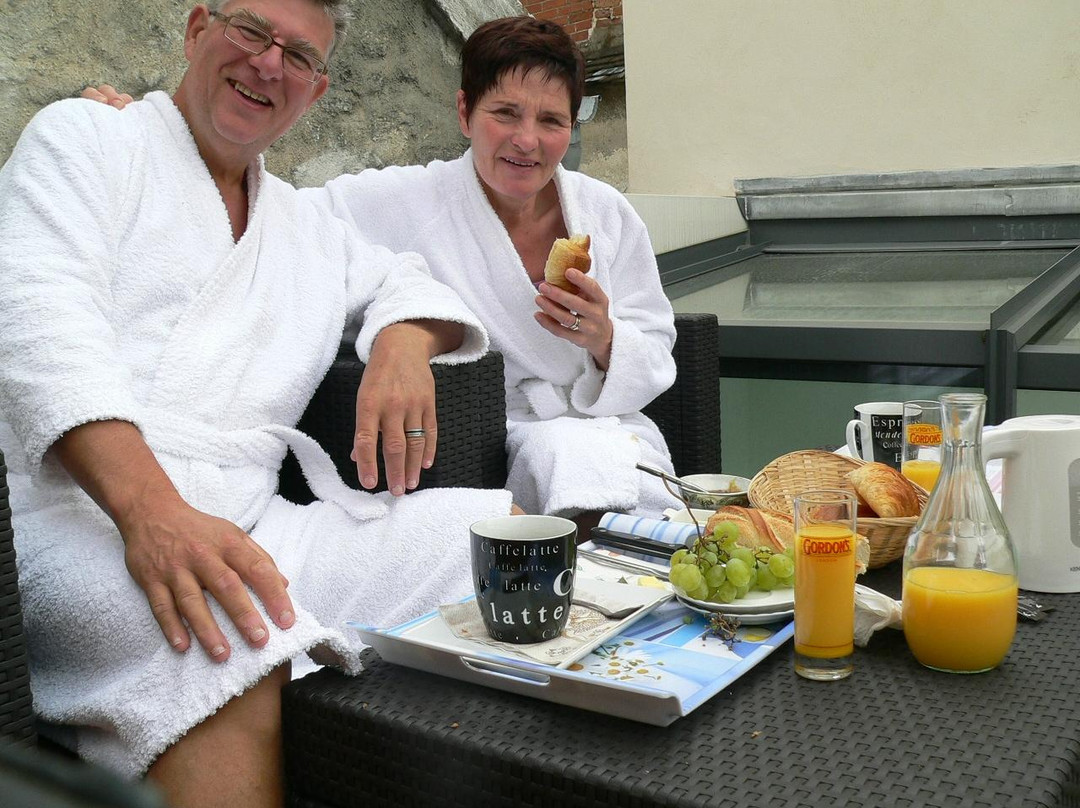 la villa Napoleon主图