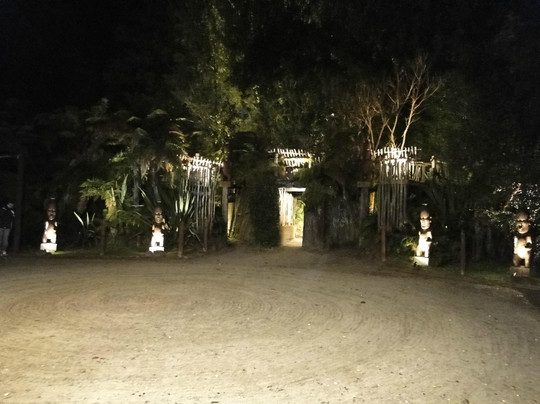 塔玛基毛利村寨-罗托鲁瓦必去景点