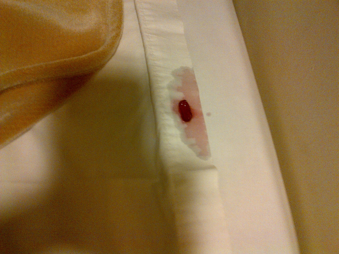 Adirondack Inn主图