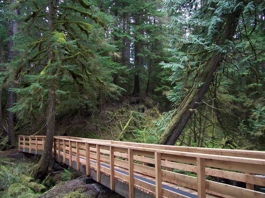 Haida Gwaii Discovery Day Tours-Masset必去景点