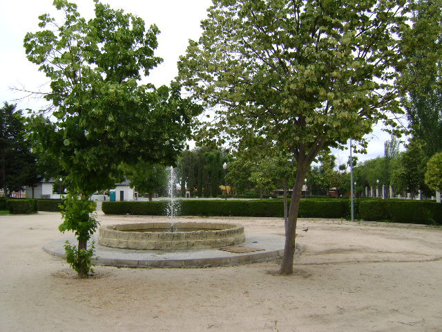 Parque Liana景点图片