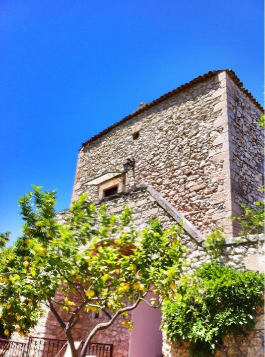 B&B Collotorto