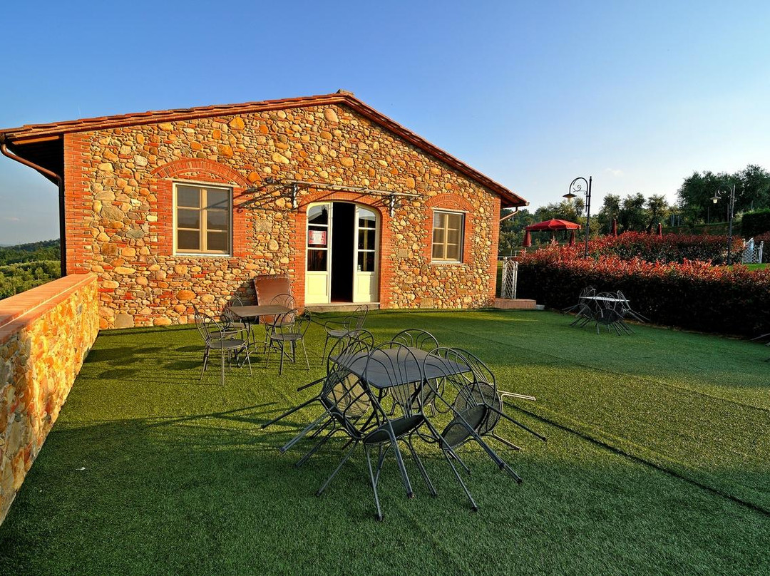 Agriturismo Vecchio Olivo