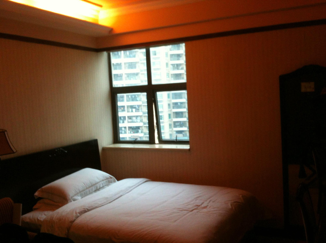 深圳维也纳酒店国际店主图