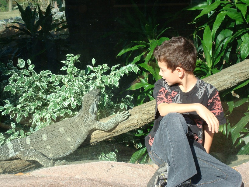 Virginia Zoo-诺福克必去景点