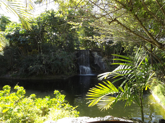 Grand Bahama Nature Tours-弗里波特必去景点