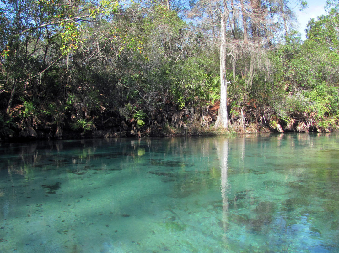 Weeki Wachee Springs-Weeki Wachee必去景点