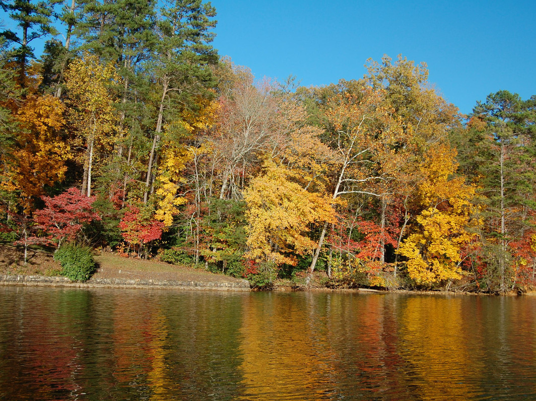 Moccasin Creek State Park-Clarkesville必去景点