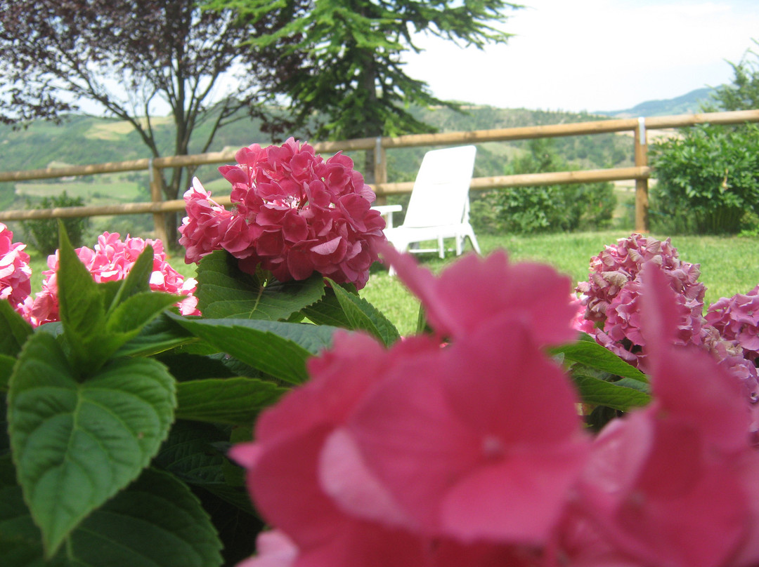 L'Agriturismo La Cerreta主图