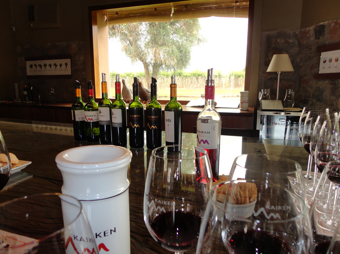 Bodega Kaiken-路冉得库约必去景点