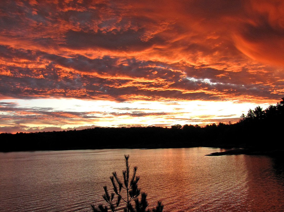 Massasauga Provincial Park-帕里桑德必去景点