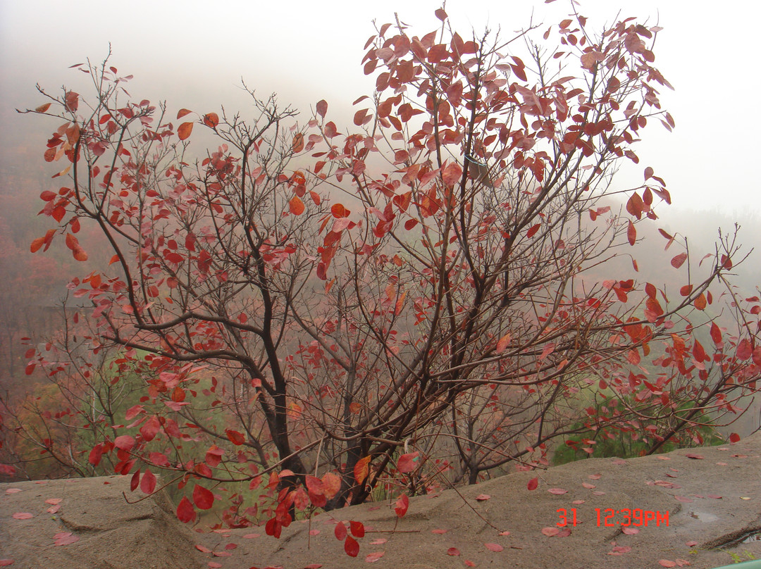 济南红叶谷-济南市必去景点