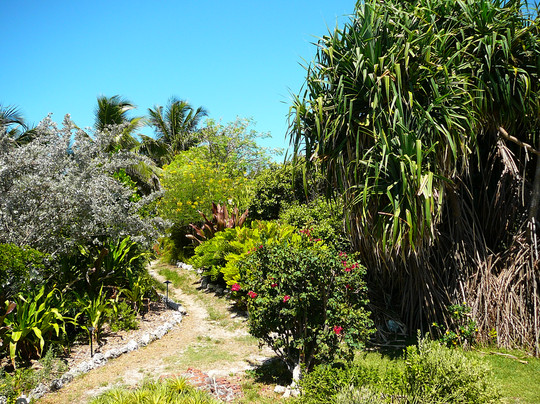 Key West Gardens at Fort West Martello-基韦斯特必去景点