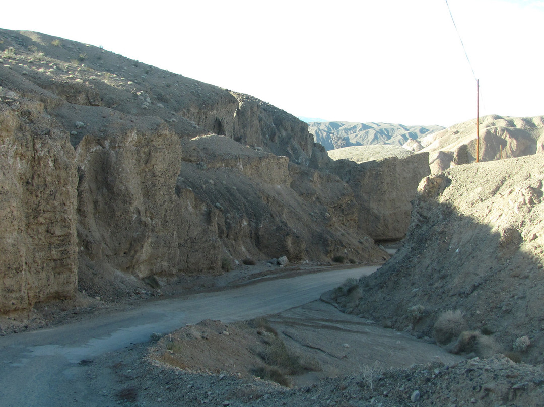 China Ranch Date Farm-Tecopa必去景点