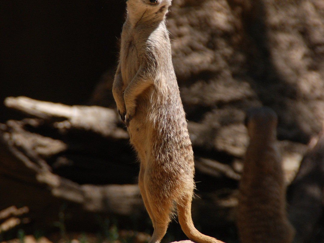 快乐山谷公园和动物园-圣何塞必去景点