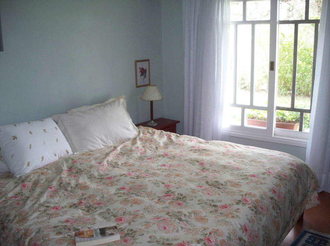 Fazenda Palomas主图