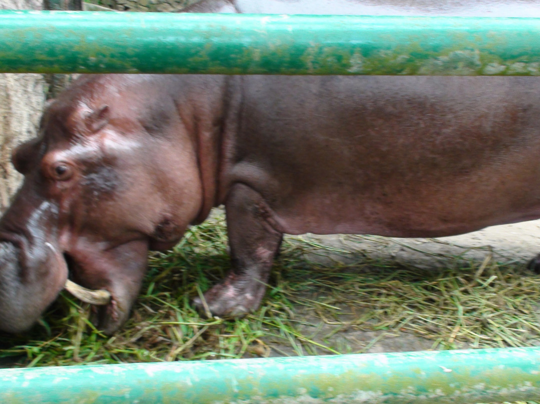 Assam State Zoo景点图片