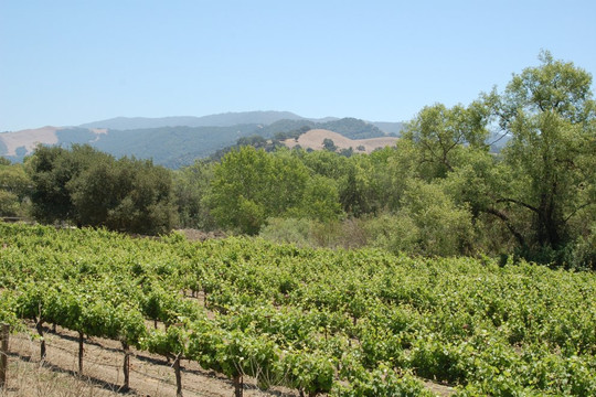 Sunstone Winery-圣伊内斯必去景点