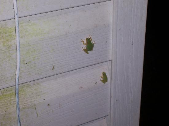 Rayne旅游攻略图片