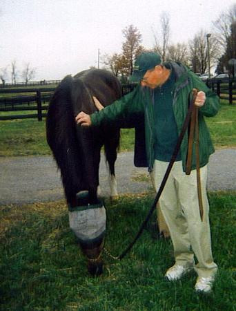 Old Friends at Dream Chase Farm-Georgetown必去景点