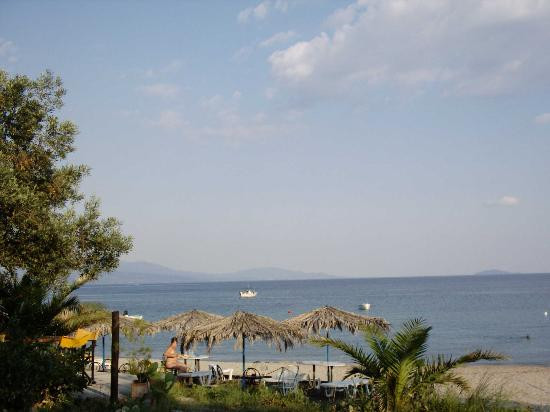 Metamorfosi Bungalows主图