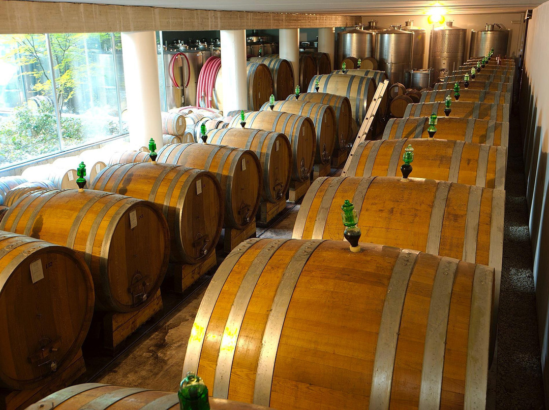 Azienda Agricola G.D. Vajra, Barolo-巴罗洛必去景点