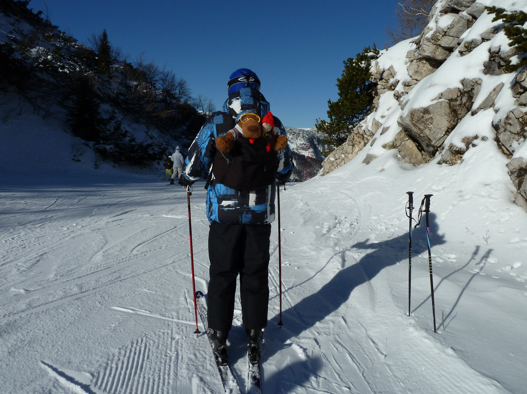 Vogel Ski Center-博希尼湖必去景点