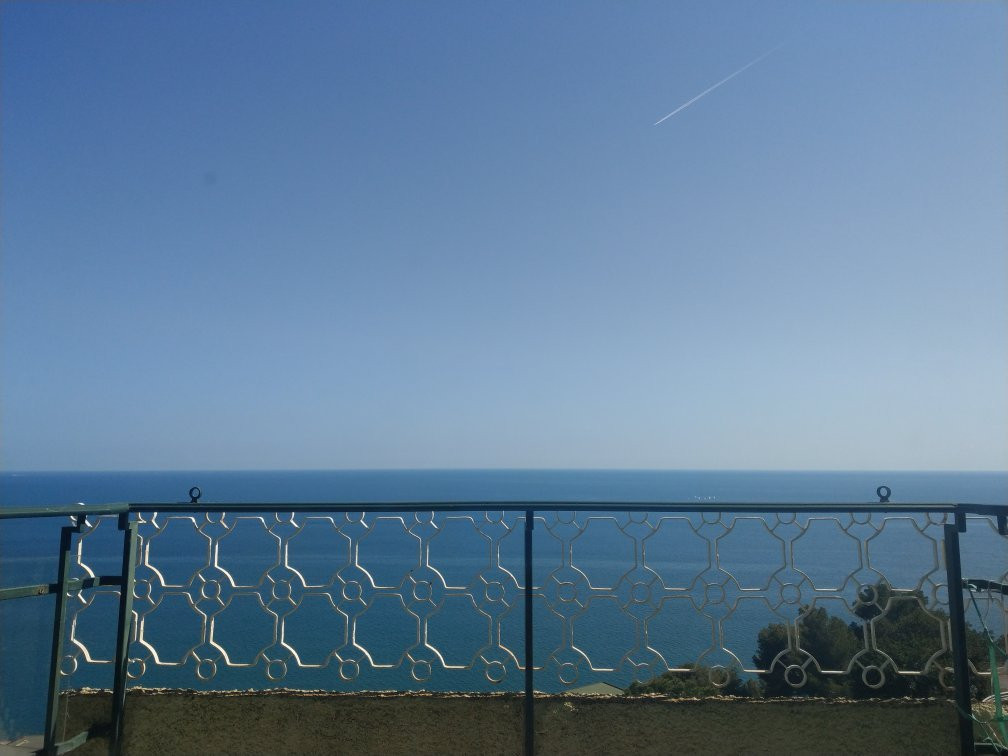 Capo Mimosa Cervo