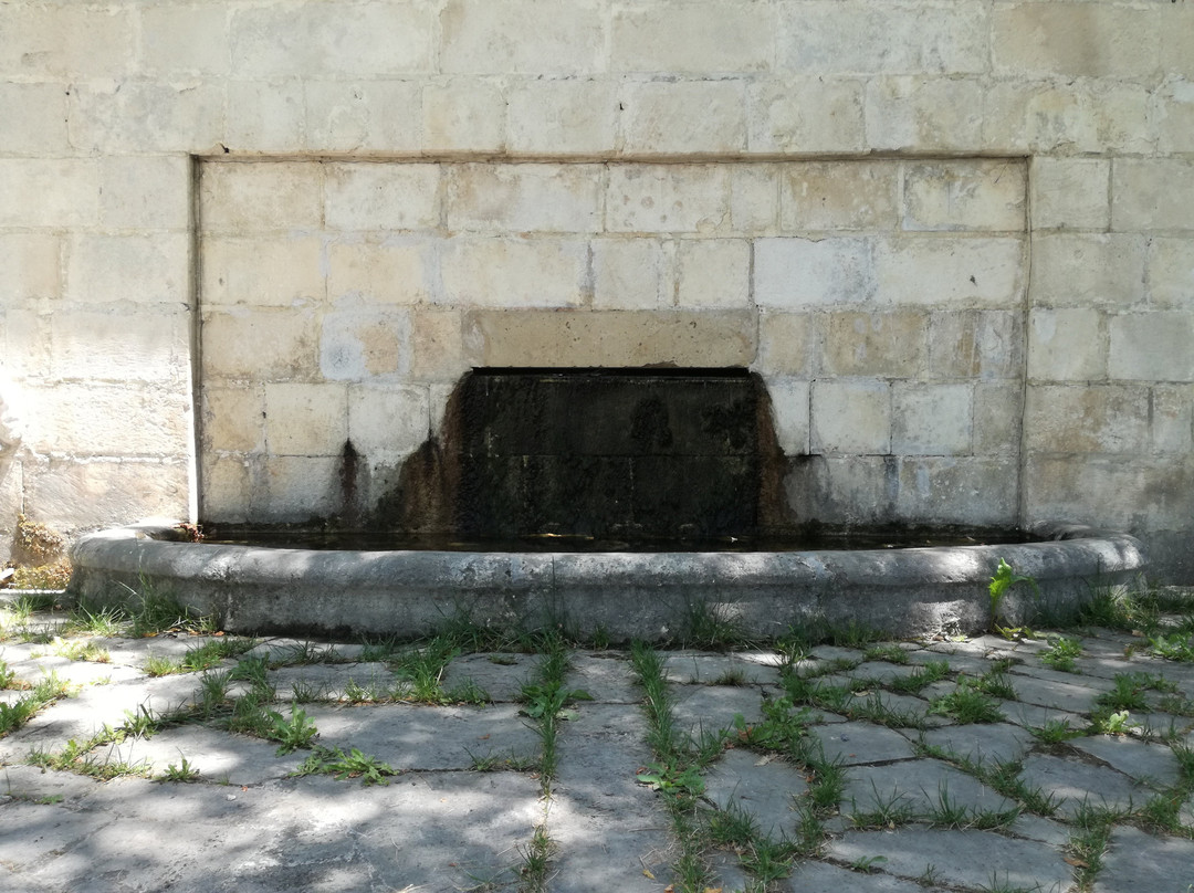 Fontana di Fonte d'Amore-苏尔莫纳必去景点