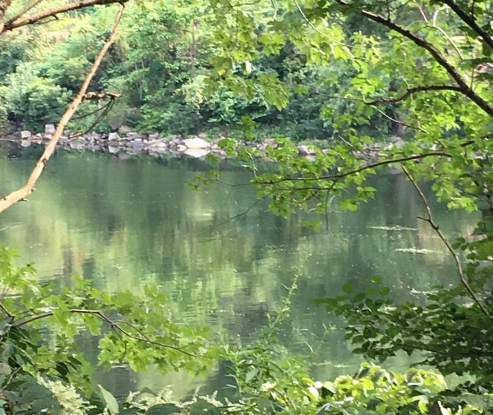 Hickories Park Owego