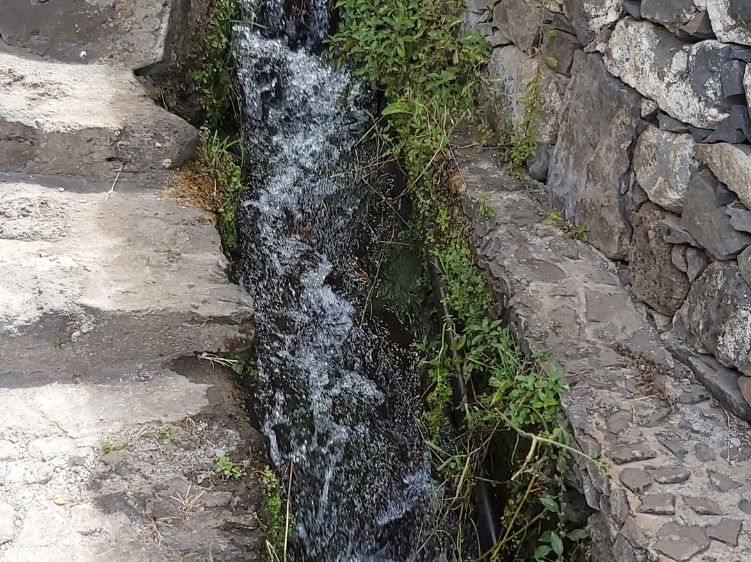 Roseiras House-Jardim do Mar必去景点