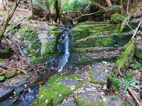O'Grady's Falls Aka Oates Falls