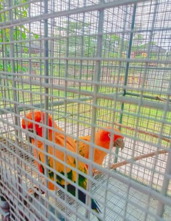 Mergrande Ocean Resort主图