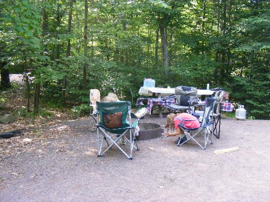 Ricketts Glen State Park景点图片