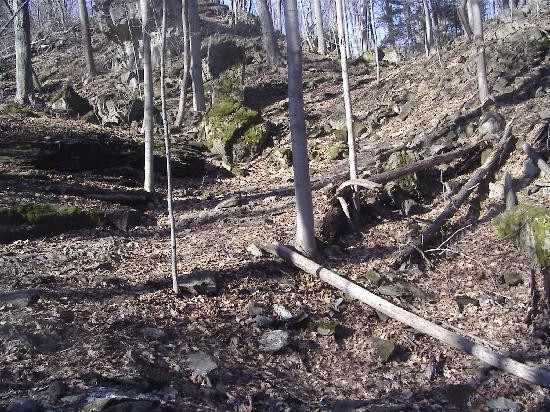 Niagara Glen Nature Areas-尼亚加拉大瀑布必去景点