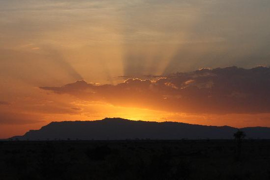 Wildlife Sun Safaris-蒙巴萨必去景点