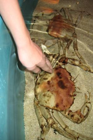 SEA LIFE at Mall of America-布卢明顿必去景点