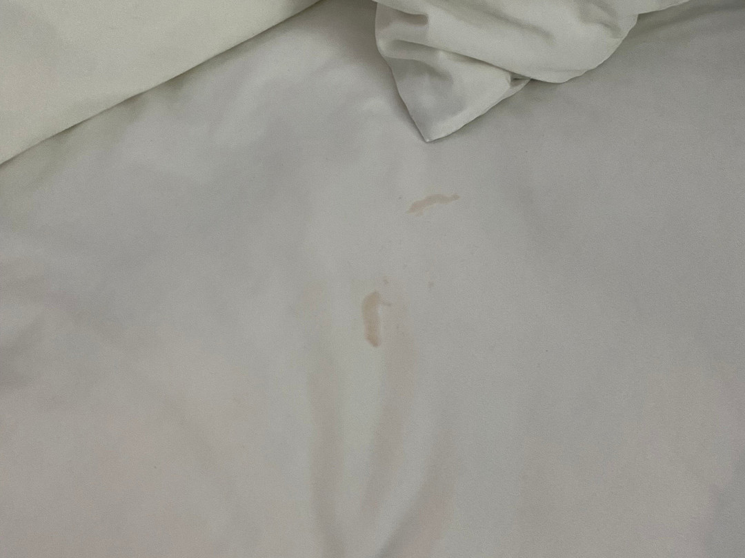 Radisson Hotel Akron / Fairlawn主图