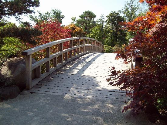 Anderson Japanese Gardens-罗克福德必去景点