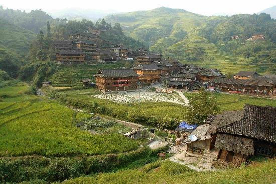 吾不知其名主图