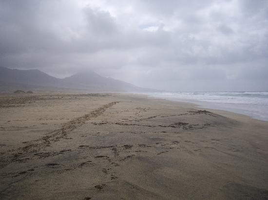 Playa de Cofete景点图片