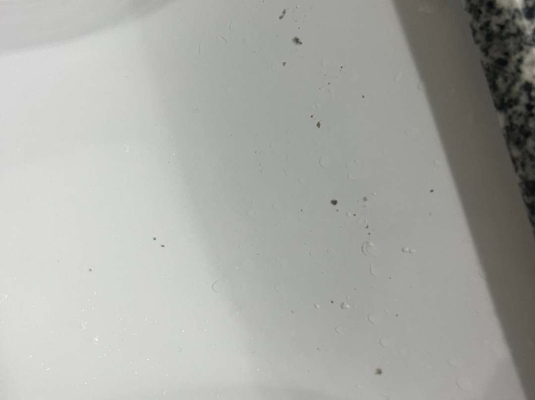 Ramada by Wyndham South Waco主图