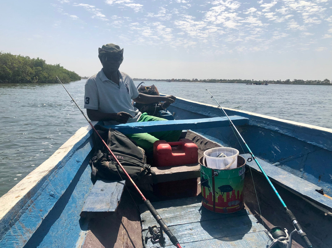 Saloum Découvertes景点图片