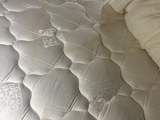 Best Western Plus Strawberry Inn & Suites主图