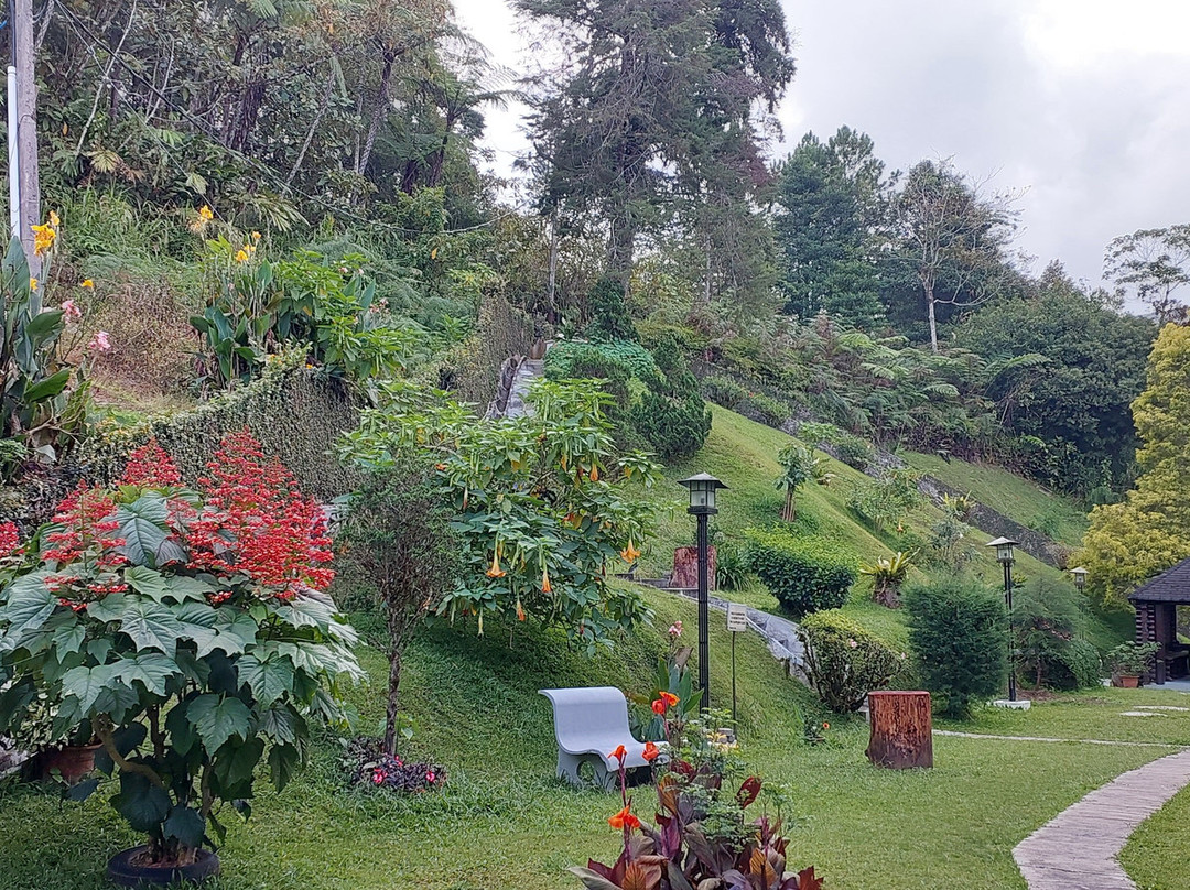 萨代拉罗莎酒店主图