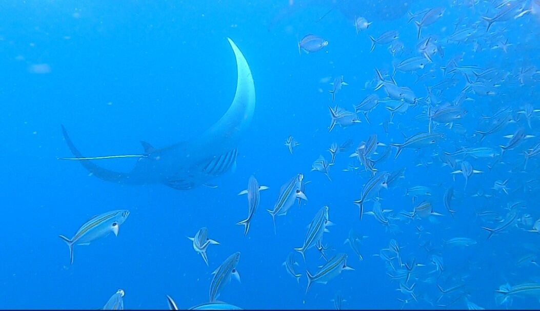 Komodo Shining-Labuan Bajo必去景点